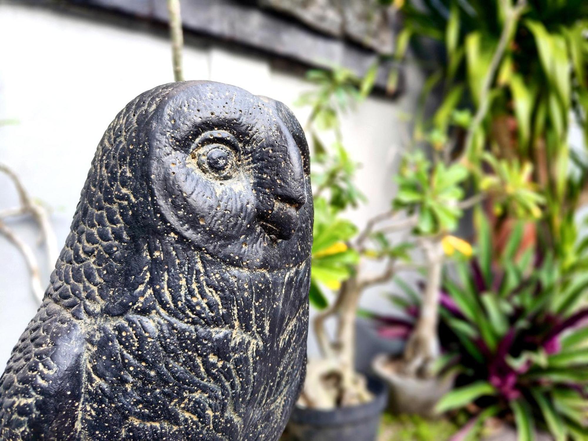 Panda Lumbung Bed & Breakfast Sanur  Exterior photo
